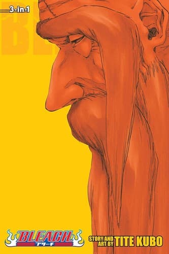 Bleach poster