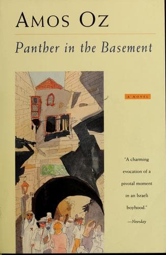 Panther im Keller. ( Ab 13 J.). poster