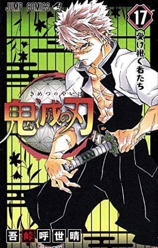 Demon Slayer: Kimetsu no Yaiba, Vol. 17 poster
