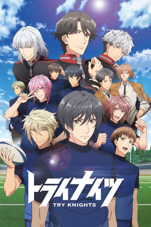 Try Knights poster