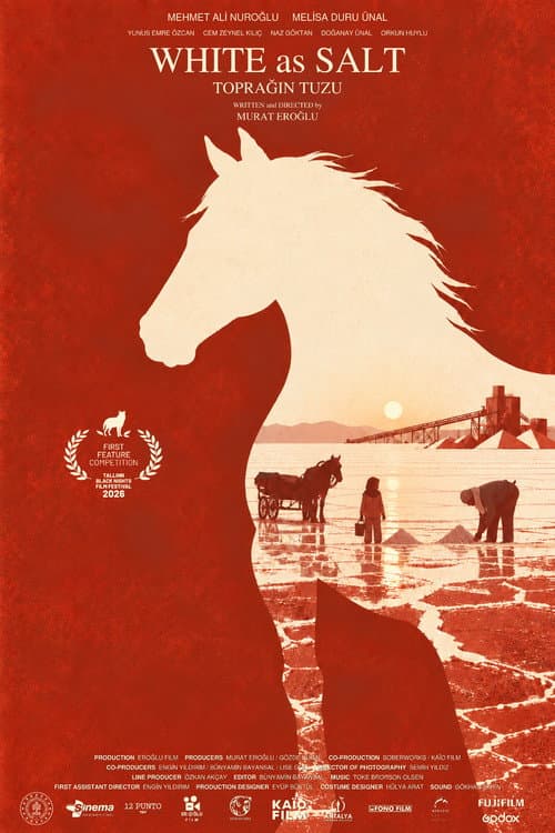 White as Salt poster