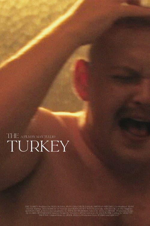 The Turkey poster