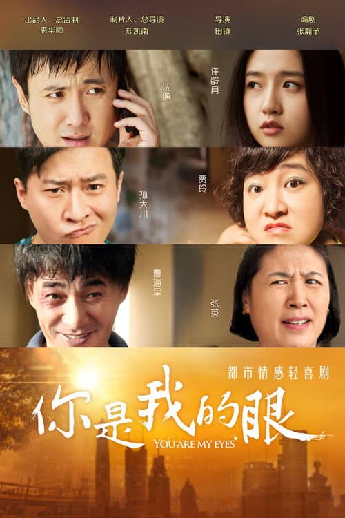 You Are My Eyes poster
