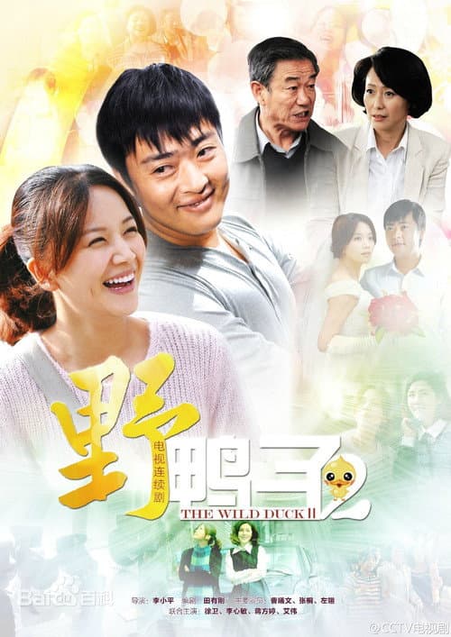 野鸭子 poster