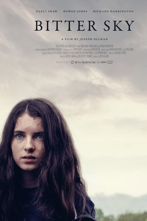 Bitter Sky poster