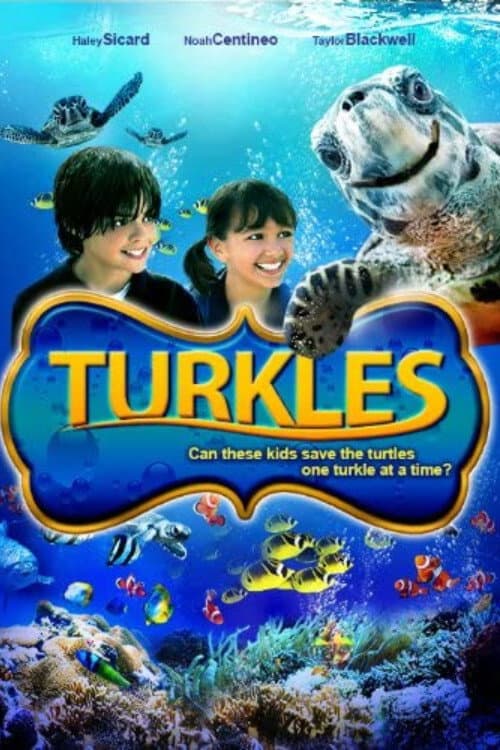 Turkles poster