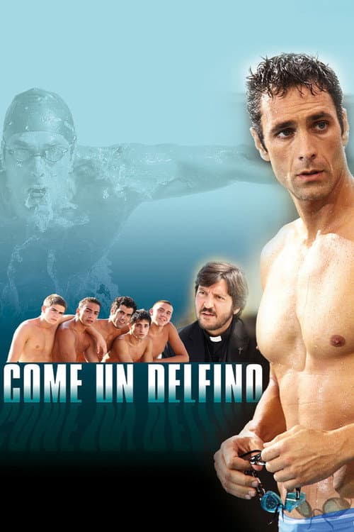Come un delfino poster