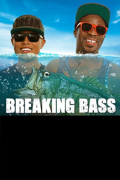 Breaking Bass poster