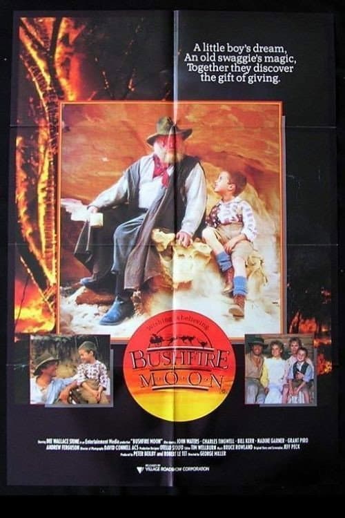 The Christmas Visitor poster