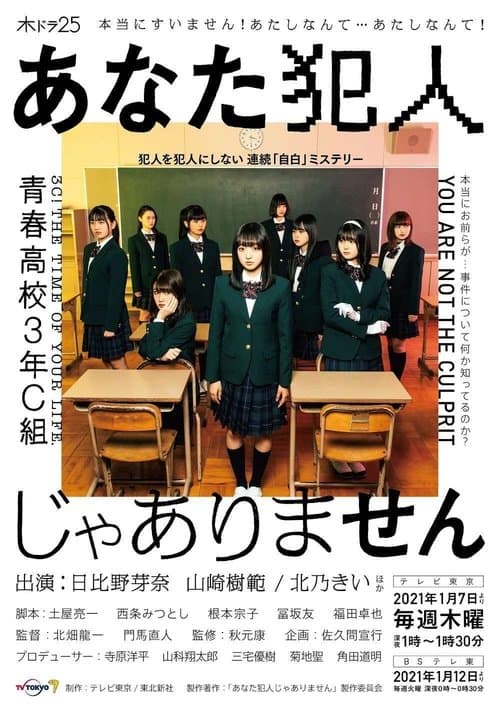 You are Not the Culprit poster