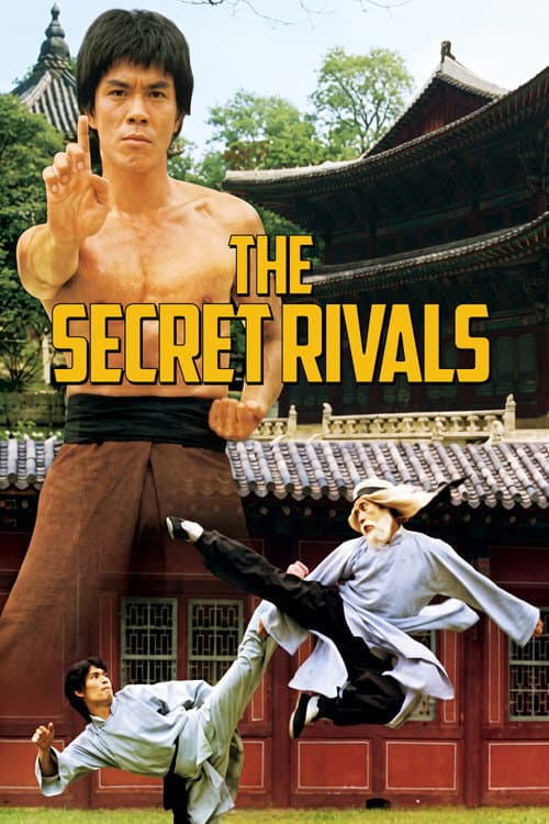 The Secret Rivals poster