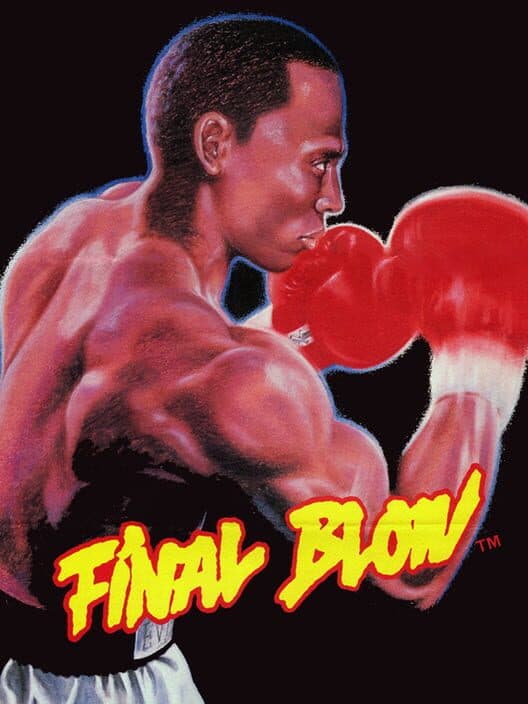 Final Blow poster